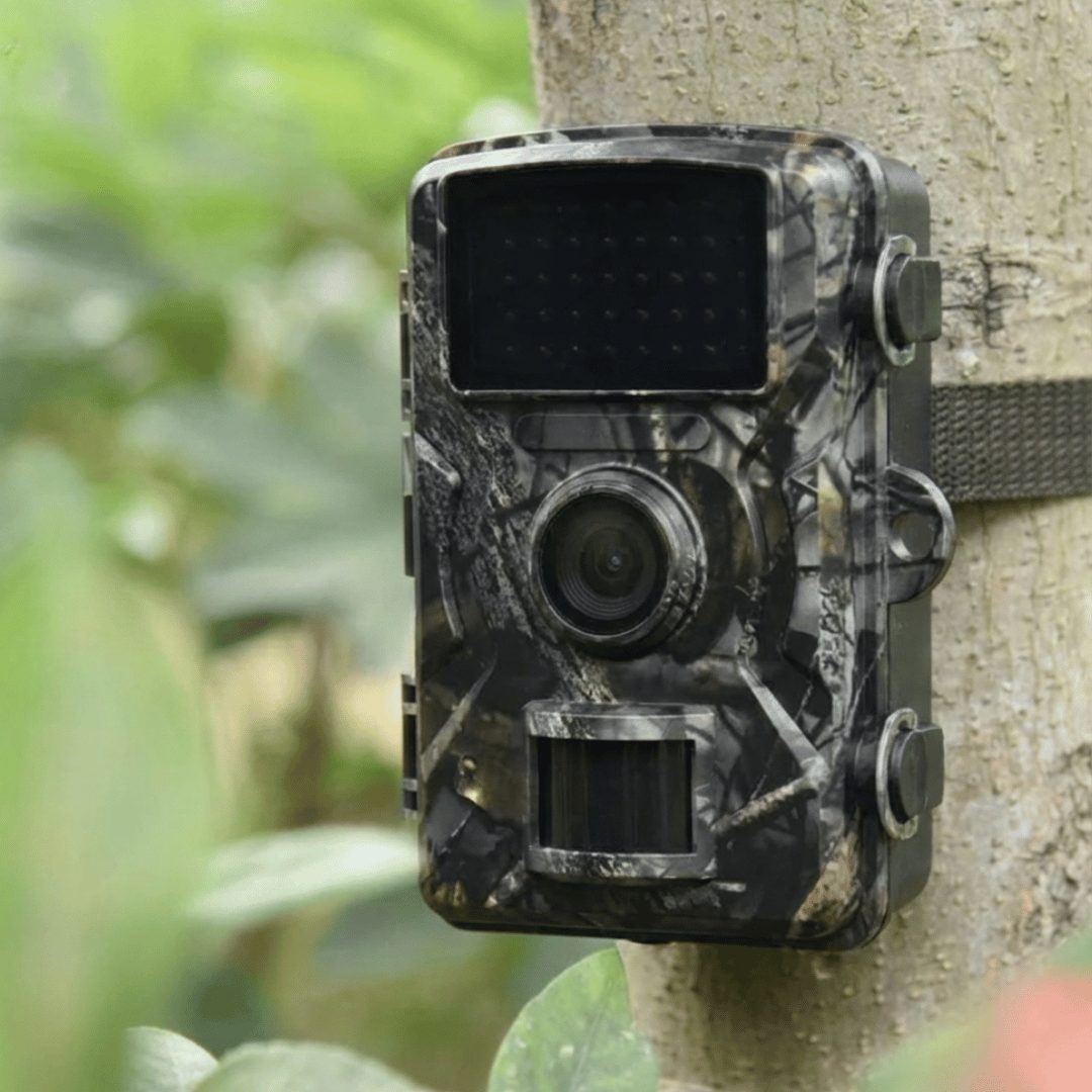 Trail Camera Premium | TimberCam